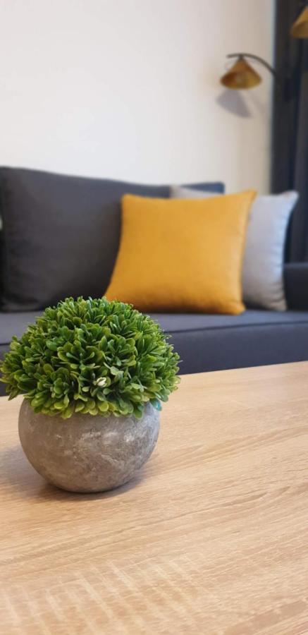 Apartament Barbary Apartment คราคูฟ ภายนอก รูปภาพ